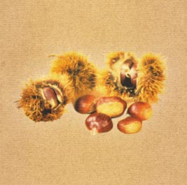 Beasaingo Martintxoak